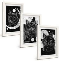 BILDER SET 3er Set - 20x30 cm Weißer Rahmen - Schwarze Katzen, Mond, Weltraum - Weiß, Kunststoff (20/30cm) - TULUP