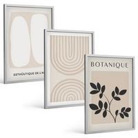 BILDER SET 3er Set - 40x60 cm Silberner Rahmen - Boho-Pflanzenposter - Silberfarben, Kunststoff (40/60cm) - TULUP
