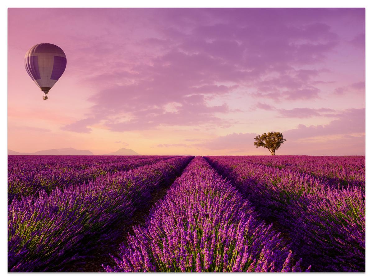 FOTOTAPETE für Wohnzimmer Lavendelfeld Heißluftballon Provence 400x280 - Violett/Lila, Papier (400/280cm) - Muralo