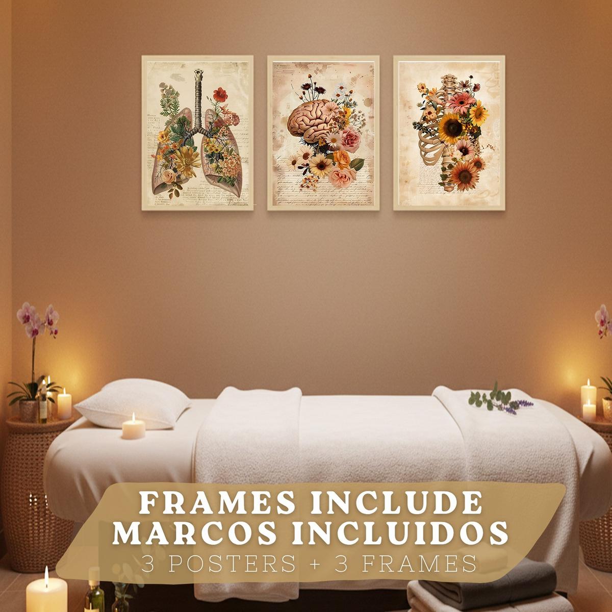 POSTER Set aus 3 Anatomie Mensch Florale Drucke und Wandbilder mit Lungen Brustkorb und Gehirn Botanischer Antiker Stil Größe Leichter Holzrahmen A4 - Beige, Papier (21/29.7/3cm) - Nacnic