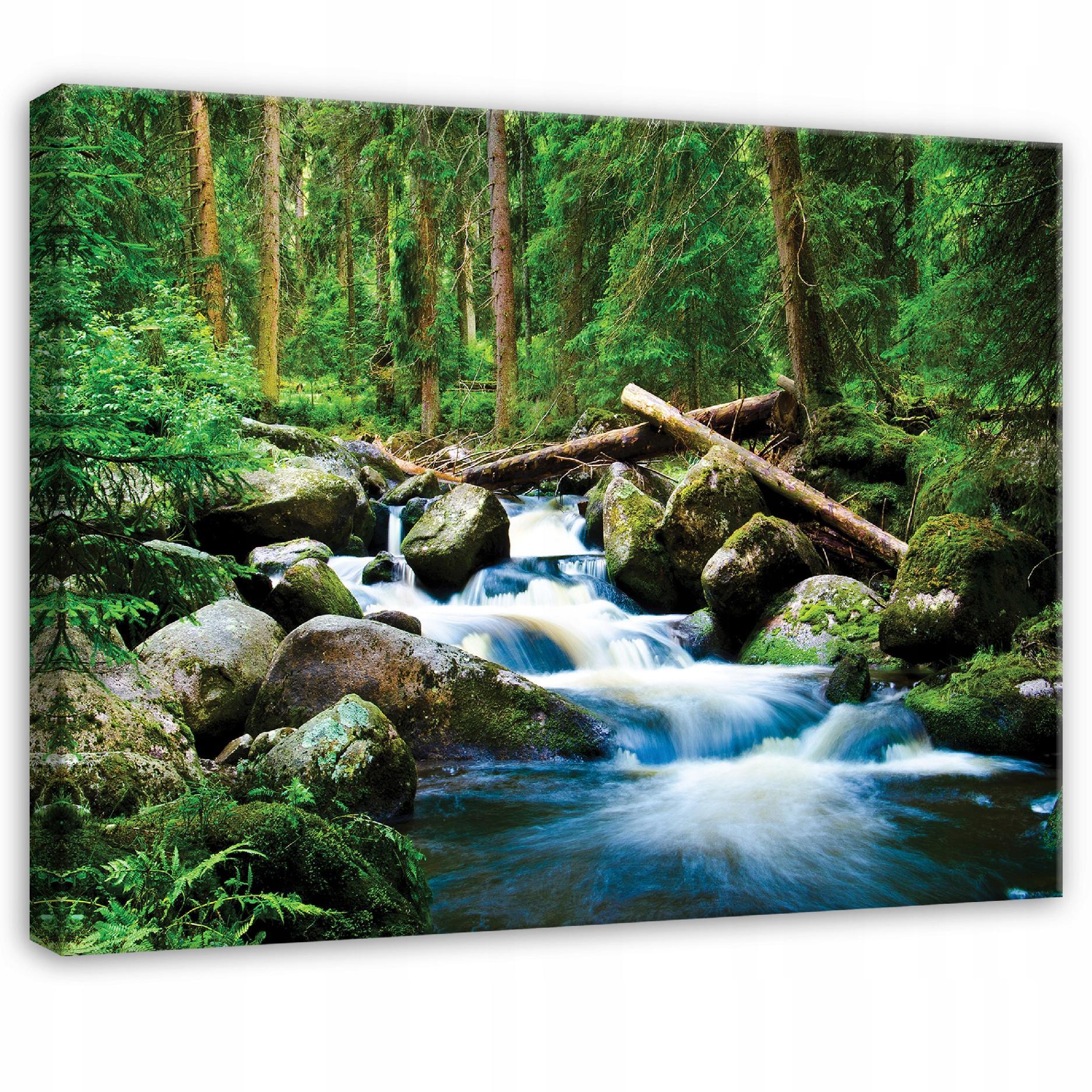 LEINWANDBILD Wald Fluss Grün 100x70 cm - Multicolor, Holzwerkstoff (100/70cm) - Wallarena