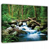 LEINWANDBILD Wald Fluss Grün 100x70 cm - Multicolor, Holzwerkstoff (100/70cm) - Wallarena