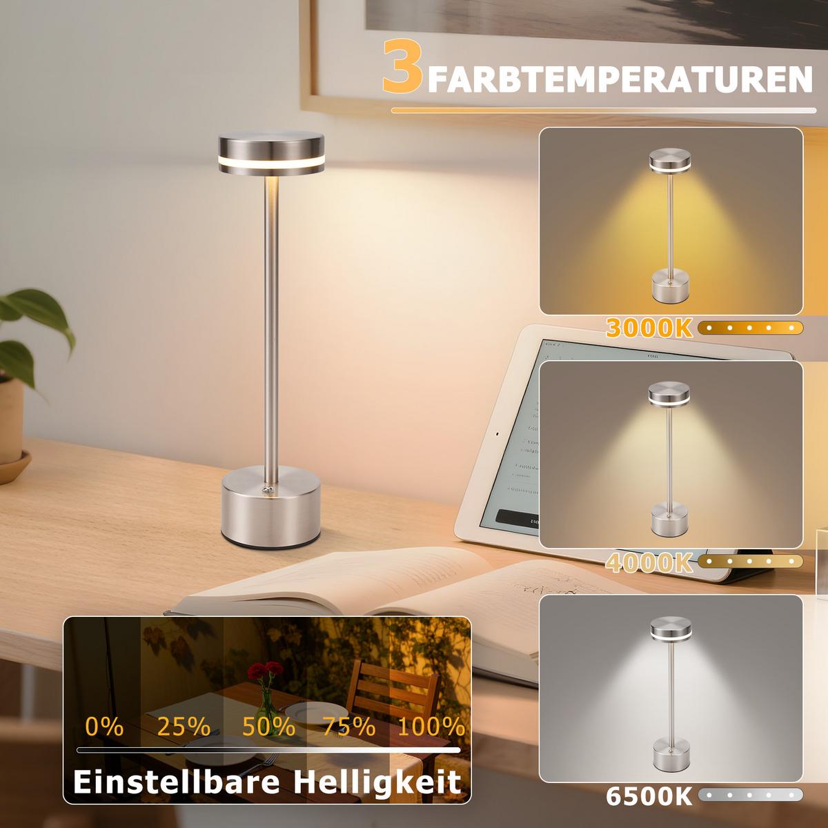TISCHLEUCHTE Lichtel 8/8/31.5 cm（2er-set） - Silberfarben, Kunststoff/Metall (8/8/31.5cm) - ZMH