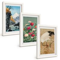 BILDER SET 3er Set - 20x30 cm Weißer Rahmen - Berglandschaft, Fluss, Blumen, Kraniche - Weiß, Kunststoff (20/30cm) - TULUP