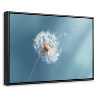 LEINWAND Bilder mit Rahmen - Löwenzahn - Wind - Blau - 30x20 - Blaugrau, Textil (30/20cm) - MuchoWow