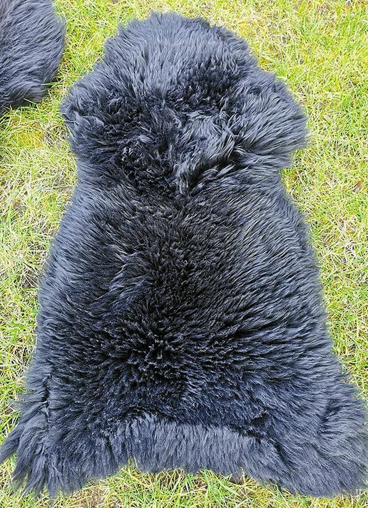 LAMMFELL Öko bunt gefärbt weich Fell Teppich Anthrazit ca. 110 cm - Schwarz, Fell (60/110cm) - Provellus