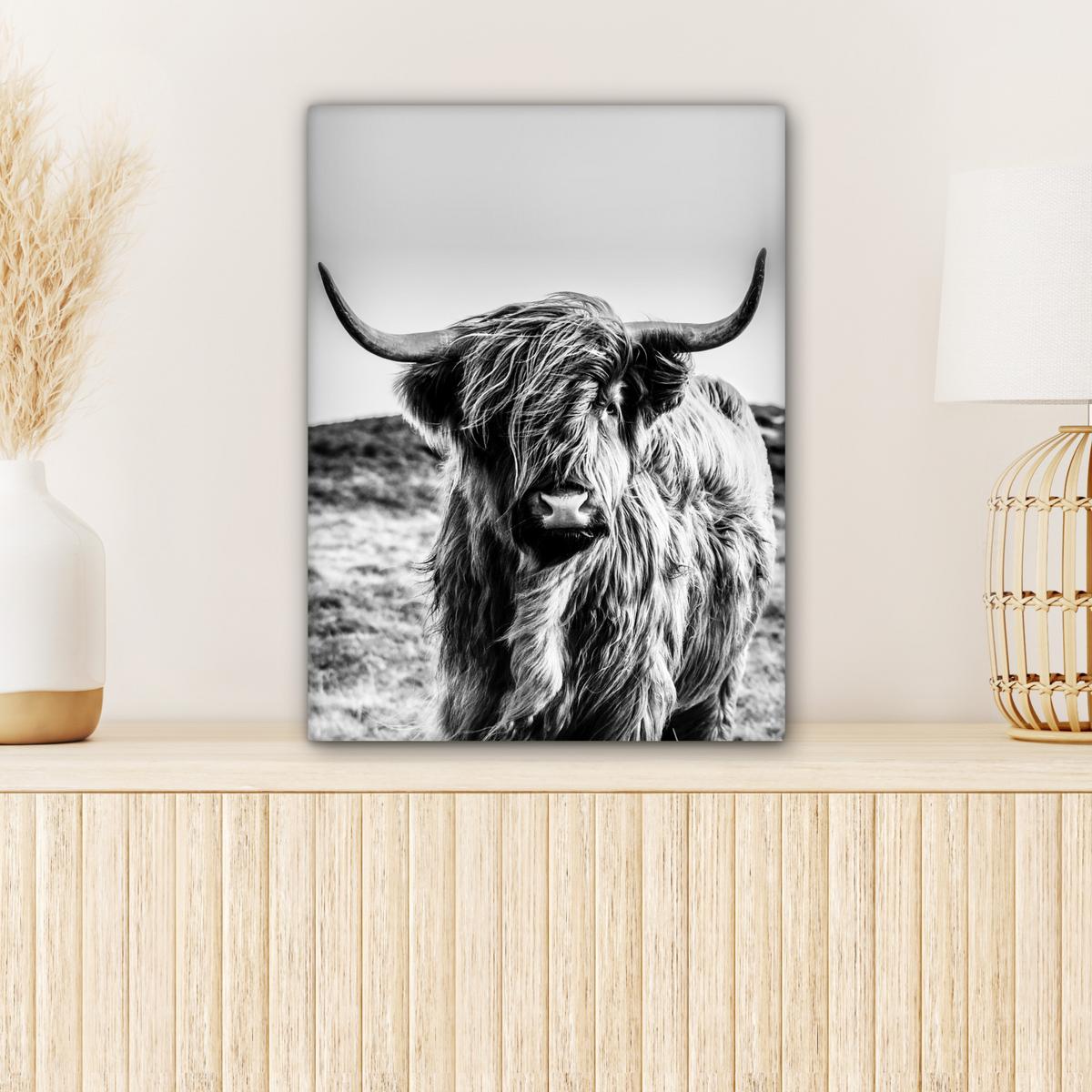LEINWANDBILD Kuh - Schottischer Hochländer - Schwarz - Weiß - Tier - Natur - Wildtiere Room Decor 30x40 cm - Schwarz, Textil (30/40cm) - MuchoWow