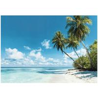 FOTOTAPETE 3D Effekt Strand Meer Palmen Hawaii 300x210 - Multicolor, Papier (300/210cm) - Wallarena