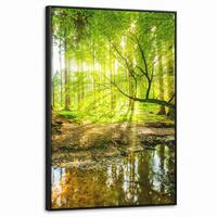 LEINWAND Bilder mit Rahmen - Wald - Landschaft - Wasser - Bäume - Sonne - Grün - Natur - 60x90 - Grün, Textil (60/90cm) - MuchoWow