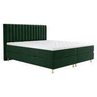 BOXBETT Elegance - H3 - Goldfarben/Grün, Holz/Textil (180/200cm) - MIRJAN24