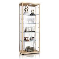 VITRINE 33/67/176 cm mit Spiegel, LED, Schloss & 4 höhenverstellbaren Glasböden - Transparent/Silberfarben, Glas/Holzwerkstoff (67/176/33cm) - K-Möbel