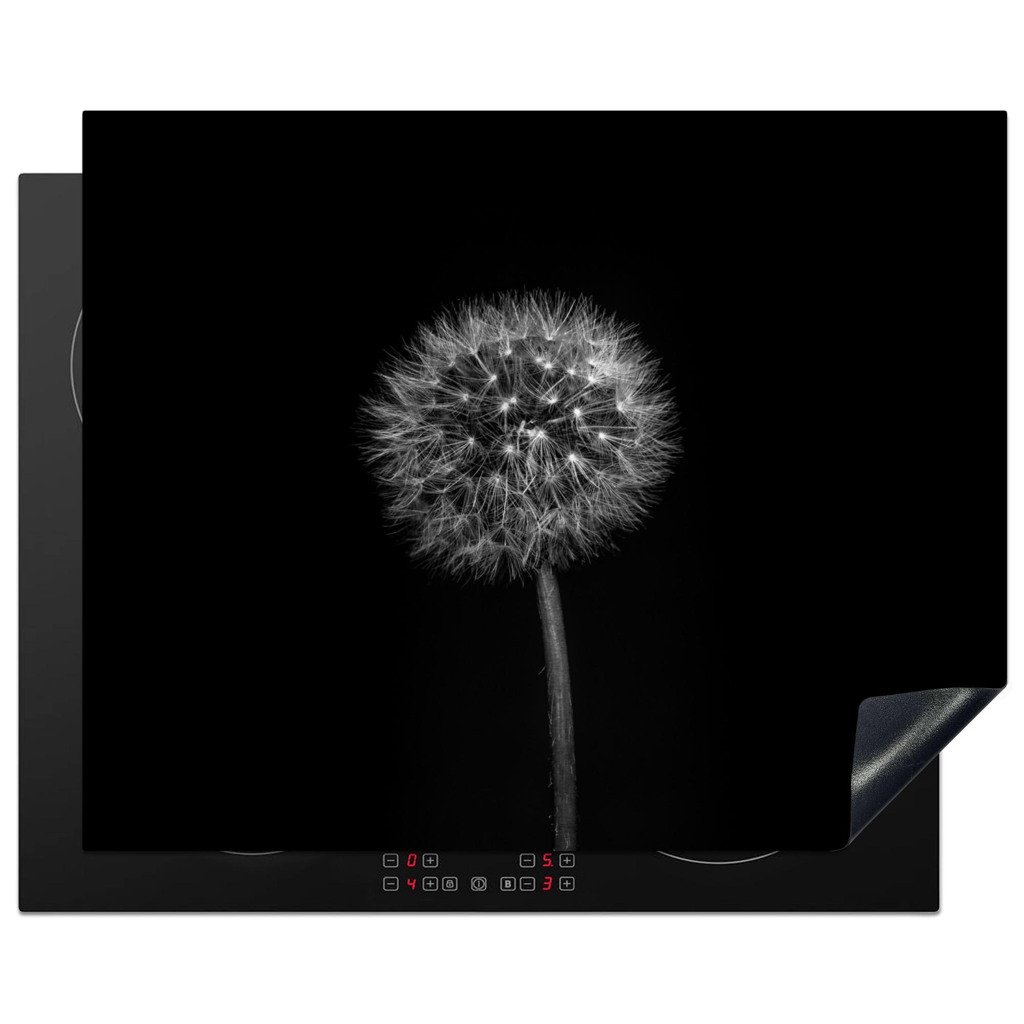 HERDABDECKPLATTE Löwenzahn - Schwarz - Floral - Botanisch Herdabdeckung Induktionsfeld 65x52 cm - Grau, Kunststoff (65/52/0.2cm) - MuchoWow