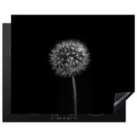 HERDABDECKPLATTE Löwenzahn - Schwarz - Floral - Botanisch Herdabdeckung Induktionsfeld 65x52 cm - Grau, Kunststoff (65/52/0.2cm) - MuchoWow
