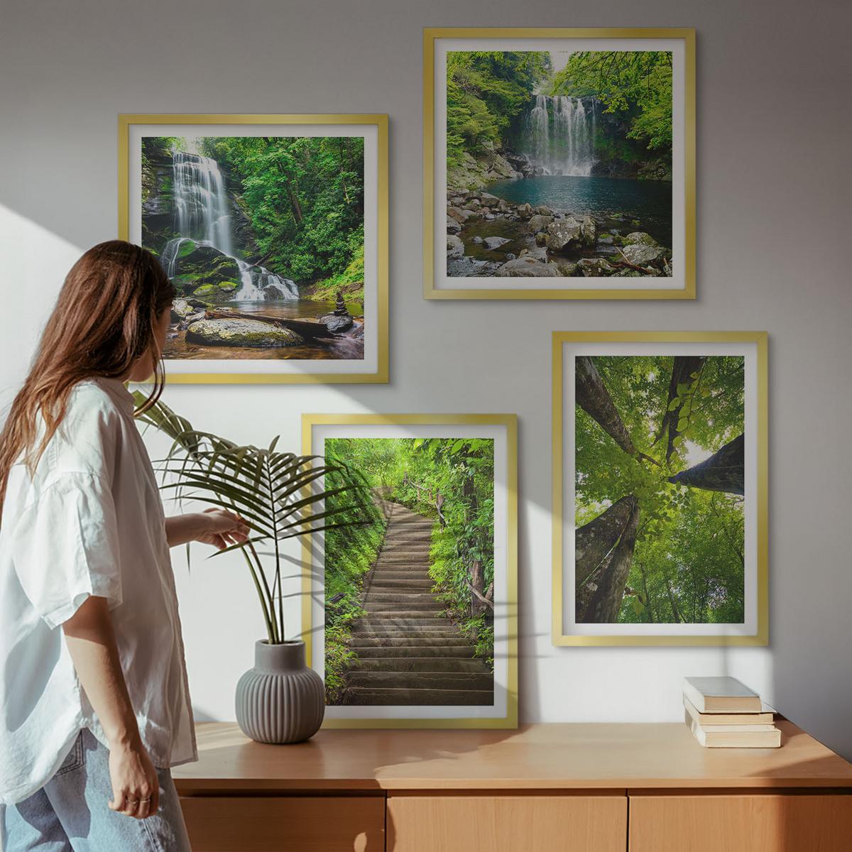BILDER SET 4er Set - 50x50 cm & 40x60 cm Goldrahmen - Pfad Wald Wasserfall Vegetation - Goldfarben, Kunststoff (50/50cm) - TULUP