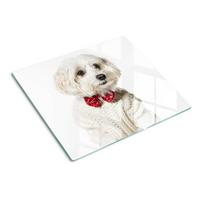 GLASPLATTE 60x52 cm Malteser Hund - Rot, Glas (60/52cm) - TULUP