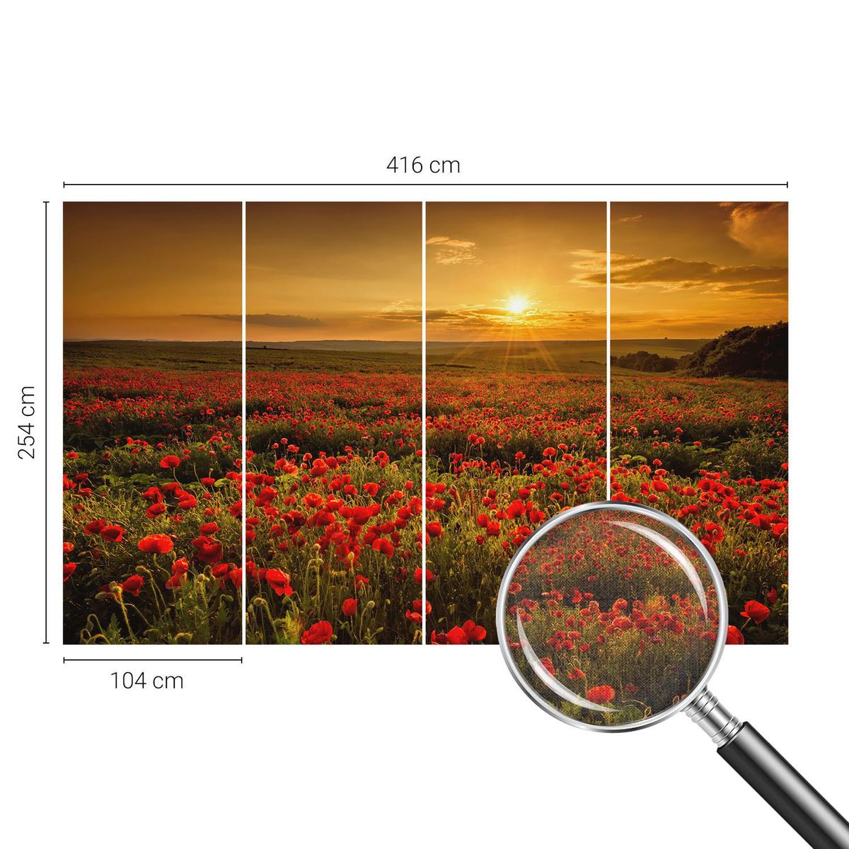 FOTOTAPETE 416x254 cm - Mohnfeld - Rot, Textil (416/254cm) - Wallfluent