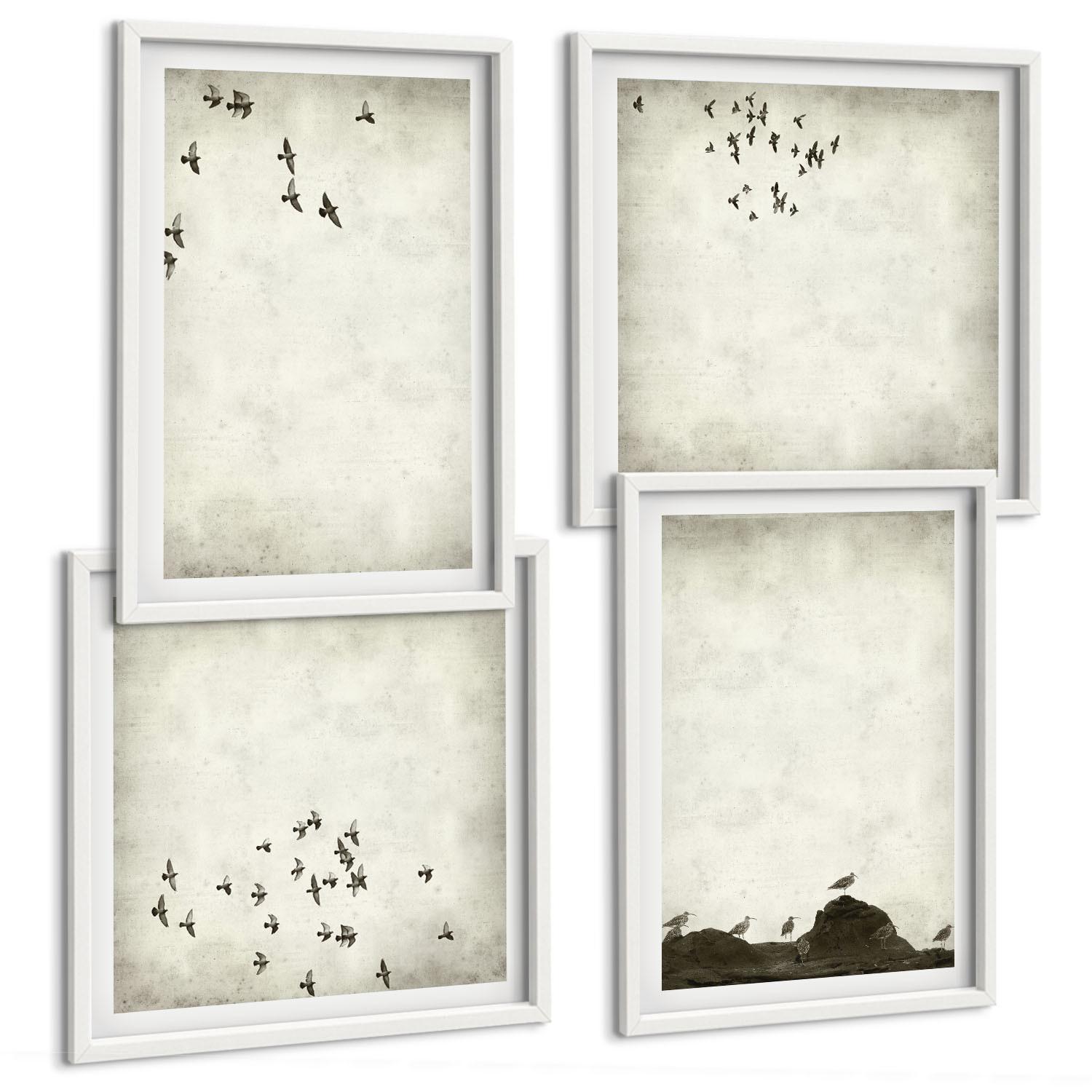 BILDER SET 4er Set - 50x50 cm & 40x60 cm Weißer Rahmen - Minimalistische Vogelmalerei - Weiß, Kunststoff (50/50cm) - TULUP