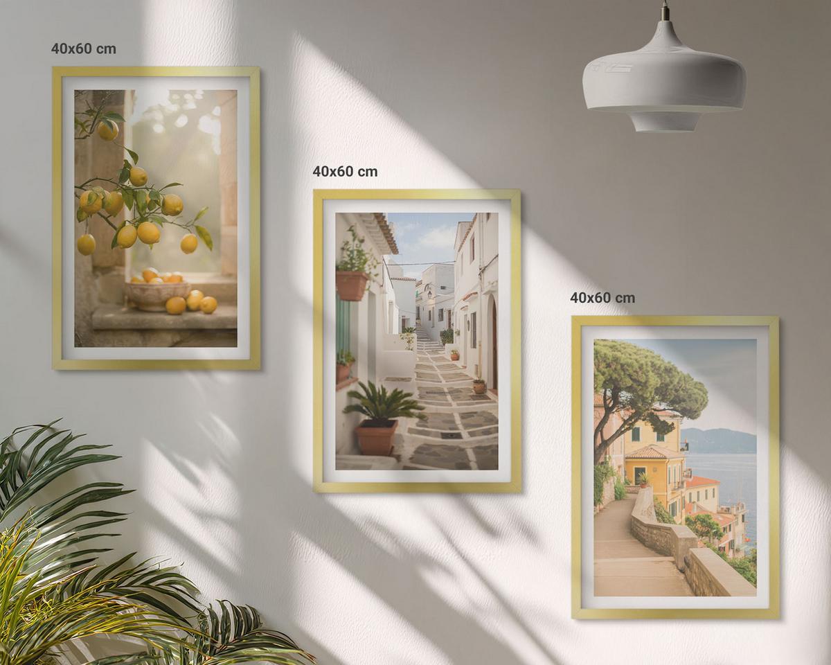 BILDER SET 3er Set - 40x60 cm Goldrahmen - Blick aus dem Fenster auf einen Zitrusbaum - Goldfarben, Kunststoff (40/60cm) - TULUP