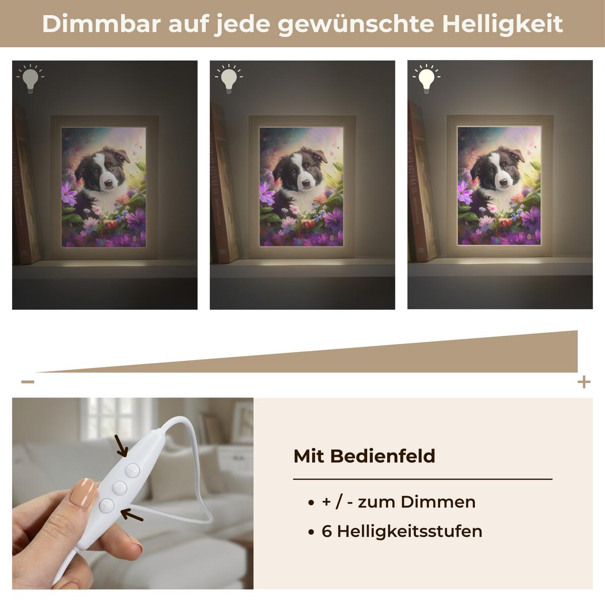WANDLEUCHTE Welpe - Sonne - Blumen - Natur - Border Collie - Hund 15x20 cm - Violett, Holzwerkstoff (15/20/8cm) - OnlyWow