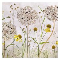 FOTOTAPETE Allium und Helenium Illustration 192/192 cm - Eichefarben, Papier (192/192cm) - Bilderwelten