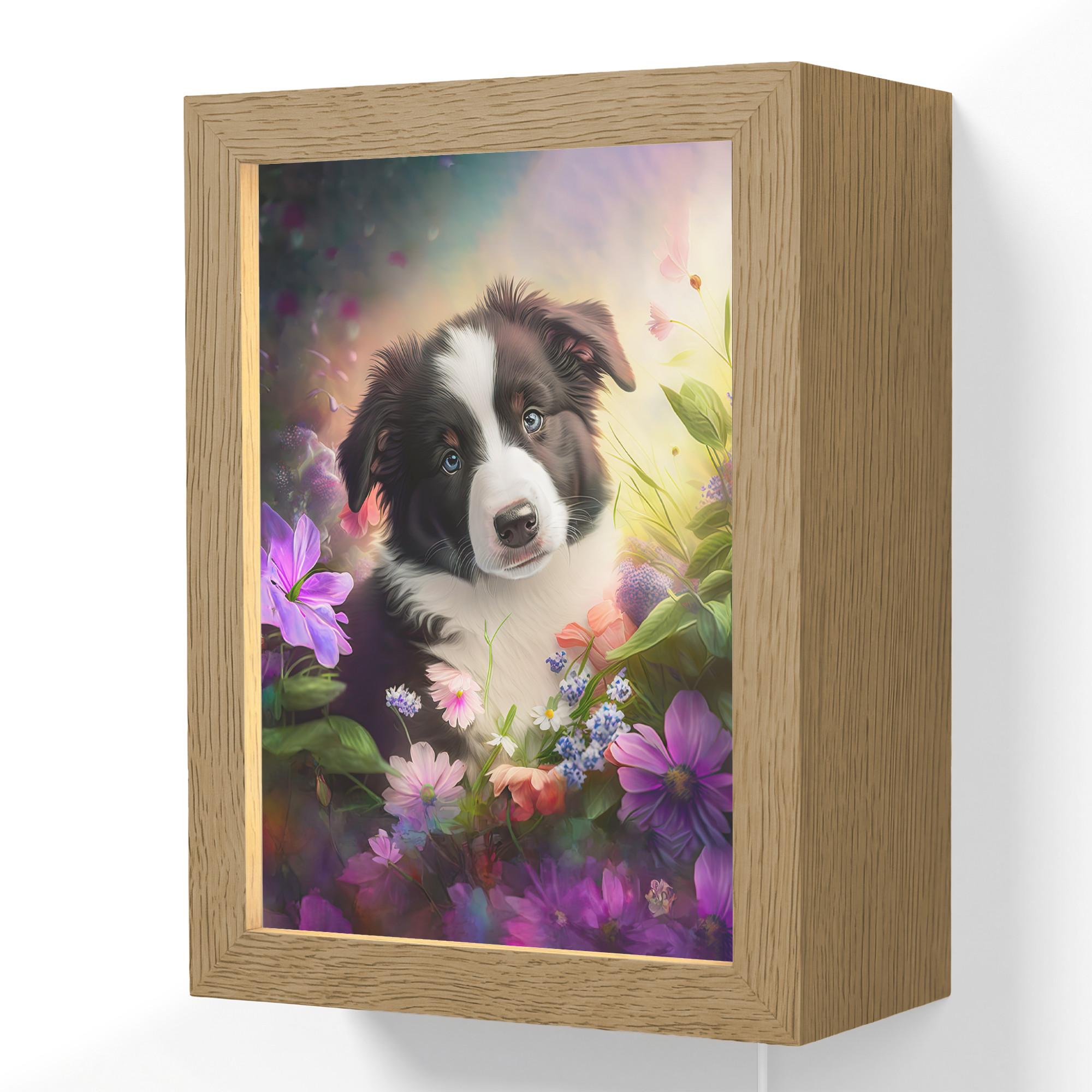 WANDLEUCHTE Welpe - Sonne - Blumen - Natur - Border Collie - Hund 15x20 cm - Violett, Holzwerkstoff (15/20/8cm) - OnlyWow