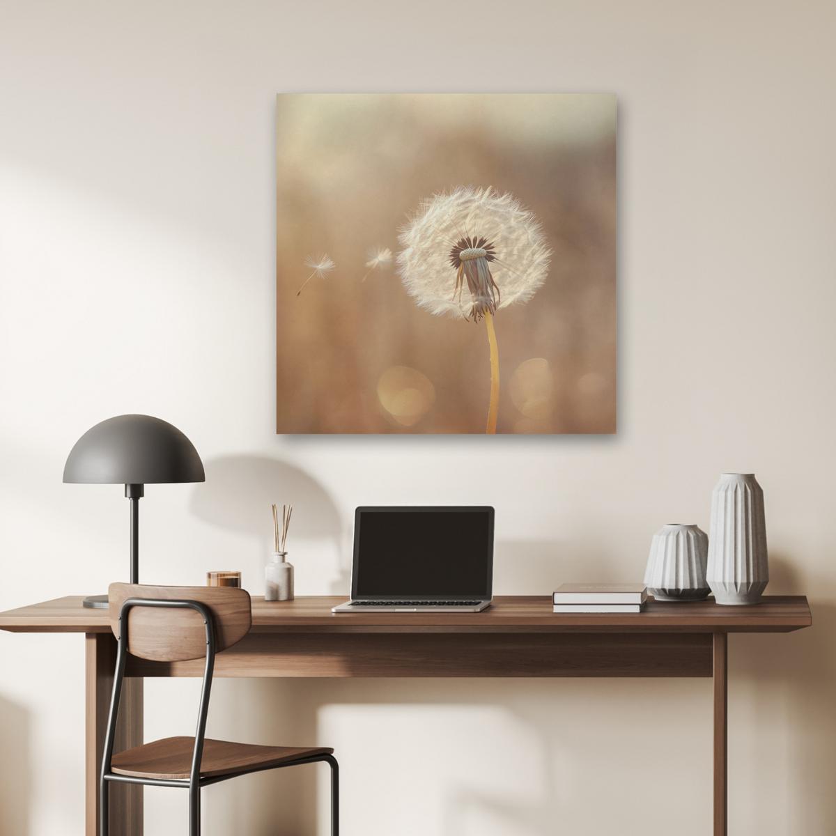 AKUSTIKBILD Löwenzahn - Beige - Natur - Blume Akustikpaneele 80x80 cm - Hellbraun, Kunststoff (80/80/0.9cm) - MuchoWow