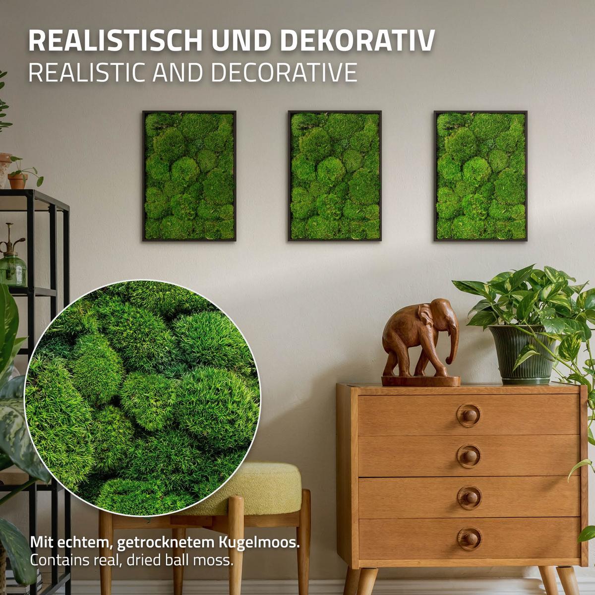 MOOSBILD Rechteck 38 x 27 cm Mooswand Indoor mit Echtem Kugelmoos und Holzrahmen Grün Pflegefrei - Grün, Naturmaterialien (27/38/3.5cm) - ECD-Germany