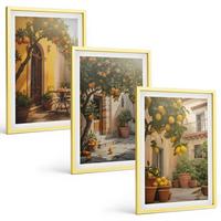 BILDER SET 3er Set - 40x60 cm Goldrahmen - Zitrustöpfe für sonnige Terrassen - Goldfarben, Kunststoff (40/60cm) - TULUP