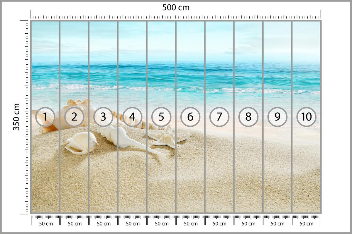 FOTOTAPETE für Badezimmer Muscheln Strand Sand Wellen Meer 500x350 - Beige/Weiß, Papier (500/350cm) - Muralo