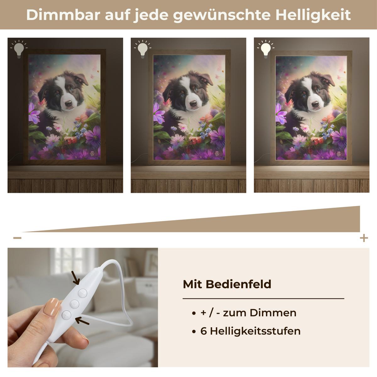 WANDLEUCHTE Welpe - Sonne - Blumen - Natur - Border Collie - Hund 20x30 cm - Violett, Holzwerkstoff (20/30/8cm) - OnlyWow
