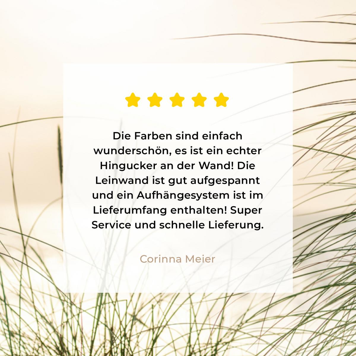 LEINWANDBILD Dünen mit Strandhafer in der Sonne des Nationalparks Schleswig-Holsteinisches Wattenmeer Room Decor 30x40 cm - Creme, Textil (30/40cm) - MuchoWow