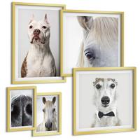 BILDER SET 5er Set - 50x50 cm & 20x30 cm & 40x60 cm Goldrahmen - Elegante Porträts von Hunden und Pferden - Goldfarben, Kunststoff (40/60cm) - TULUP