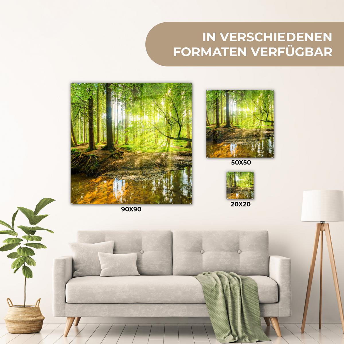 ACRYLGLASBILD Wald - Landschaft - Wasser - Bäume - Sonne - Grün - Natur 50x50 cm - Grün, Glas (50/50cm) - MuchoWow