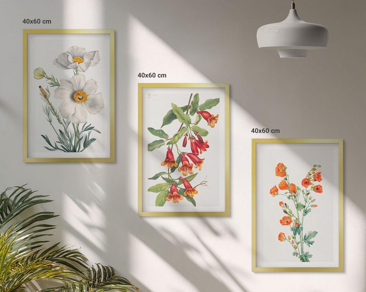 BILDER SET 3er Set - 40x60 cm Goldrahmen - Retro-Blumenarrangements - Goldfarben, Kunststoff (40/60cm) - TULUP