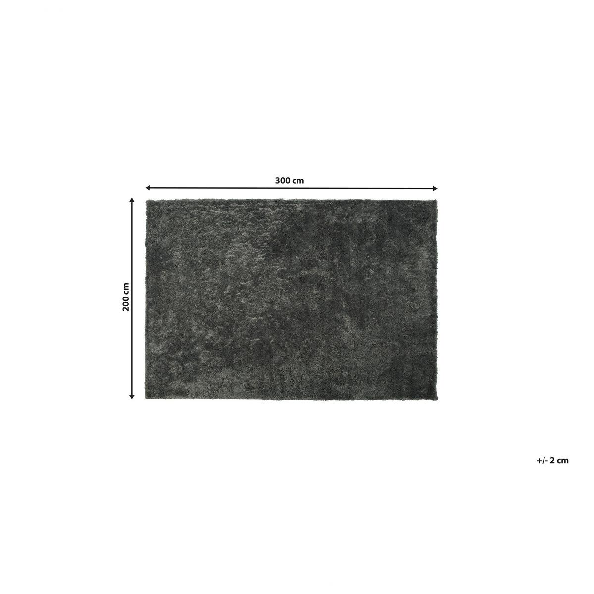 SHAGGY-TEPPICH Evren 300/200 cm - Grau, Kunststoff (200/300cm) - Beliani