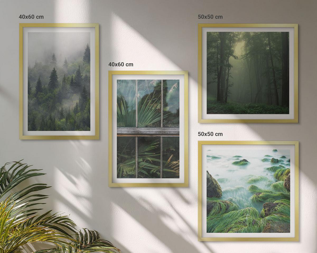 BILDER SET 4er Set - 50x50 cm & 40x60 cm Goldrahmen - Waldnebel, Fluss, Gewächshauspflanzen - Goldfarben, Kunststoff (50/50cm) - TULUP