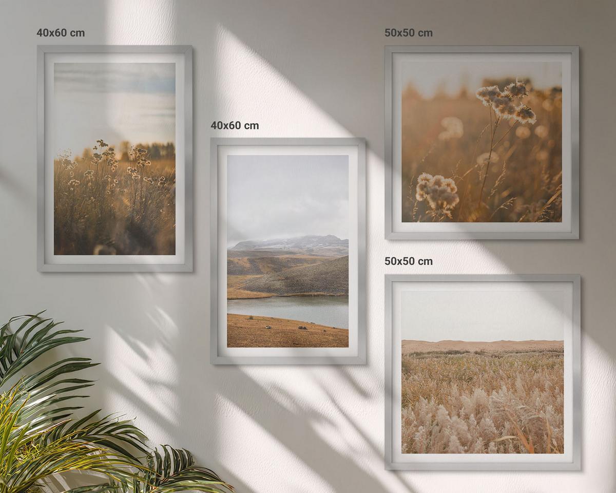 BILDER SET 4er Set - 50x50 cm & 40x60 cm Silberner Rahmen - Landschaften Wiesen Berge See - Silberfarben, Kunststoff (50/50cm) - TULUP