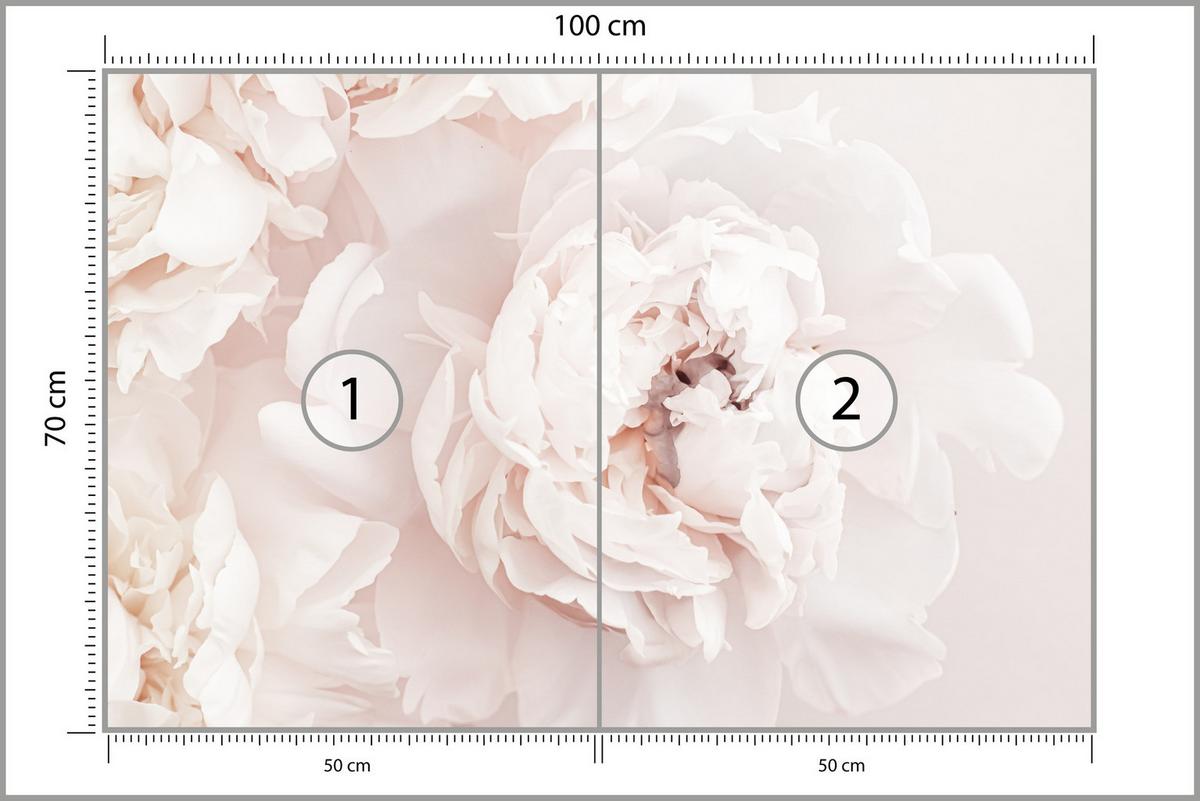 FOTOTAPETE für Schlafzimmer Pfingstrosen Blumen 3D 100x70 - Beige/Rosa, Papier (100/70cm) - Muralo