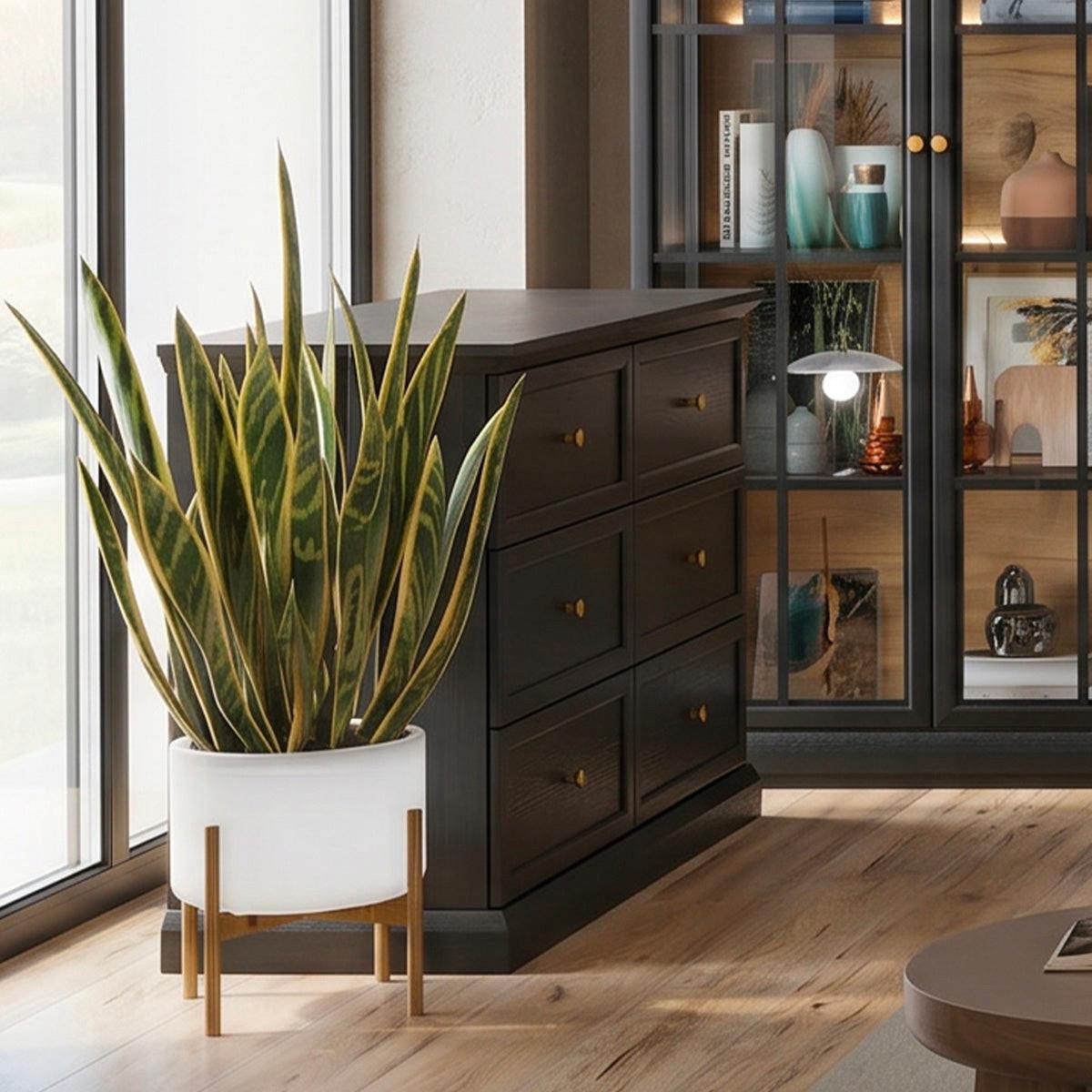 KOMMODE Toja Anthrazitfarbenes Holz - Braun, Holzwerkstoff (145.7/86/39.5cm) - Petits-meubles