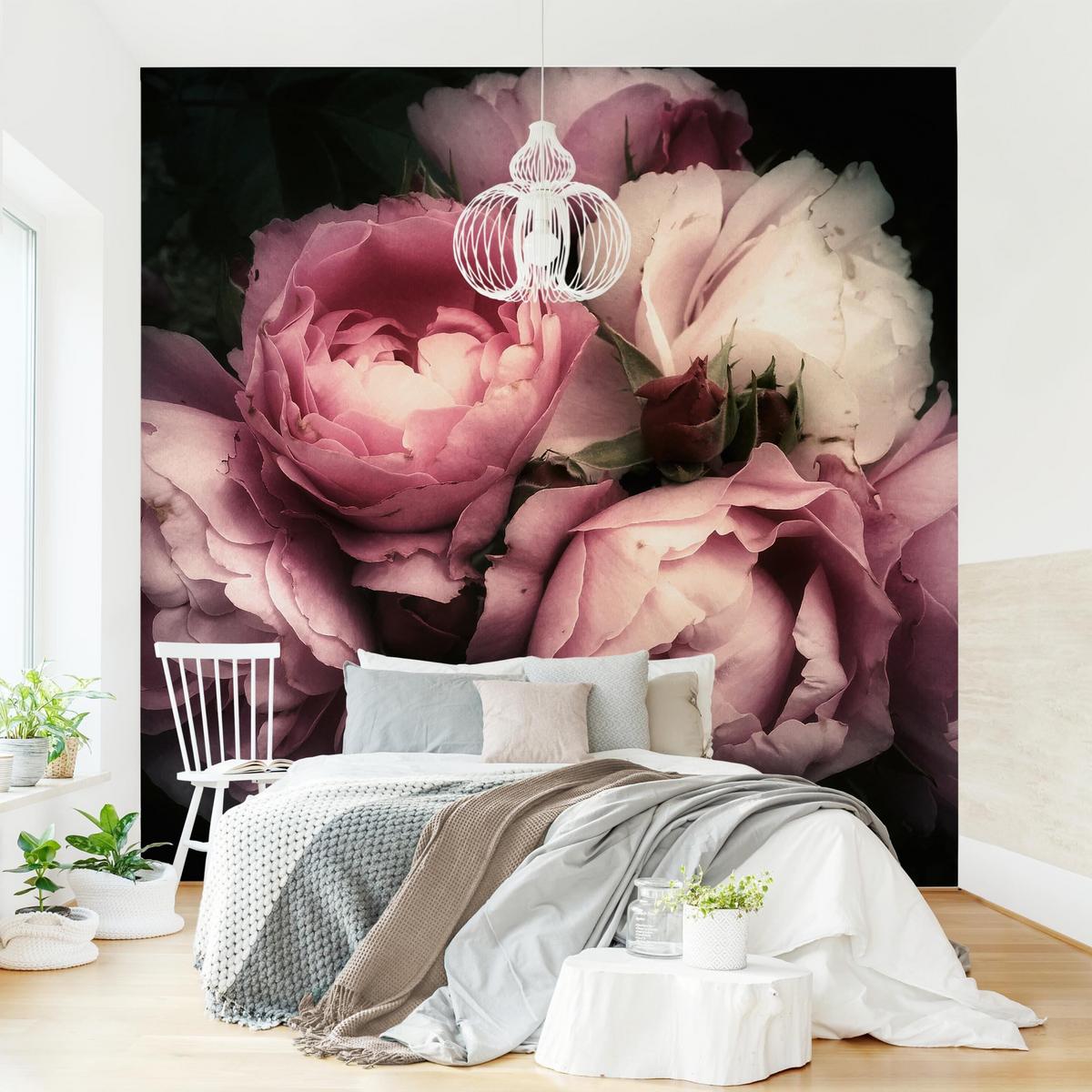 FOTOTAPETE Pfingstrosen vor Schwarz Shabby 192/192 cm - Rosa, Papier (192/192cm) - Bilderwelten