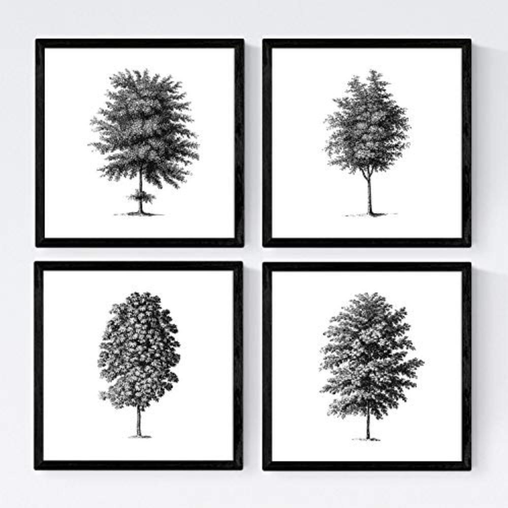 POSTER Set mit 4 Blättern der Baumstamm in feinen, weißen 20x20cm Rahmenlos - Klar, Papier (20/3cm) - Nacnic