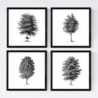 POSTER Set mit 4 Blättern der Baumstamm in feinen, weißen 20x20cm Rahmenlos - Klar, Papier (20/3cm) - Nacnic