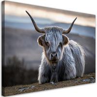 WANDBILD liegende schottische kuh - Grau, Textil (60/40cm) - Feeby