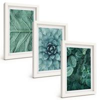 BILDER SET 3er Set - 20x30 cm Weißer Rahmen - Nahaufnahme von Pflanzenblättern - Weiß, Kunststoff (20/30cm) - TULUP