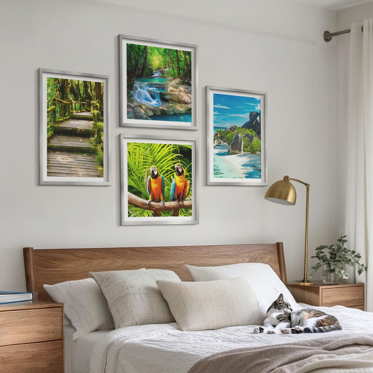 BILDER SET 4er Set - 50x50 cm & 40x60 cm Silberner Rahmen - Tropischer Wald Papageienwasserfall - Silberfarben, Kunststoff (50/50cm) - TULUP