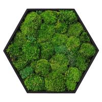 MOOSBILD Hexagon 38x34 cm Mooswand Indoor mit echtem Kugelmoos und Holzrahmen Grün Pflegefrei - Grün, Naturmaterialien (38/34/3.4cm) - ECD-Germany