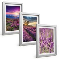 BILDER SET 3er Set - 20x30 cm Silberner Rahmen - Sonnenuntergang auf Lavendelfeldern - Silberfarben, Kunststoff (20/30cm) - TULUP