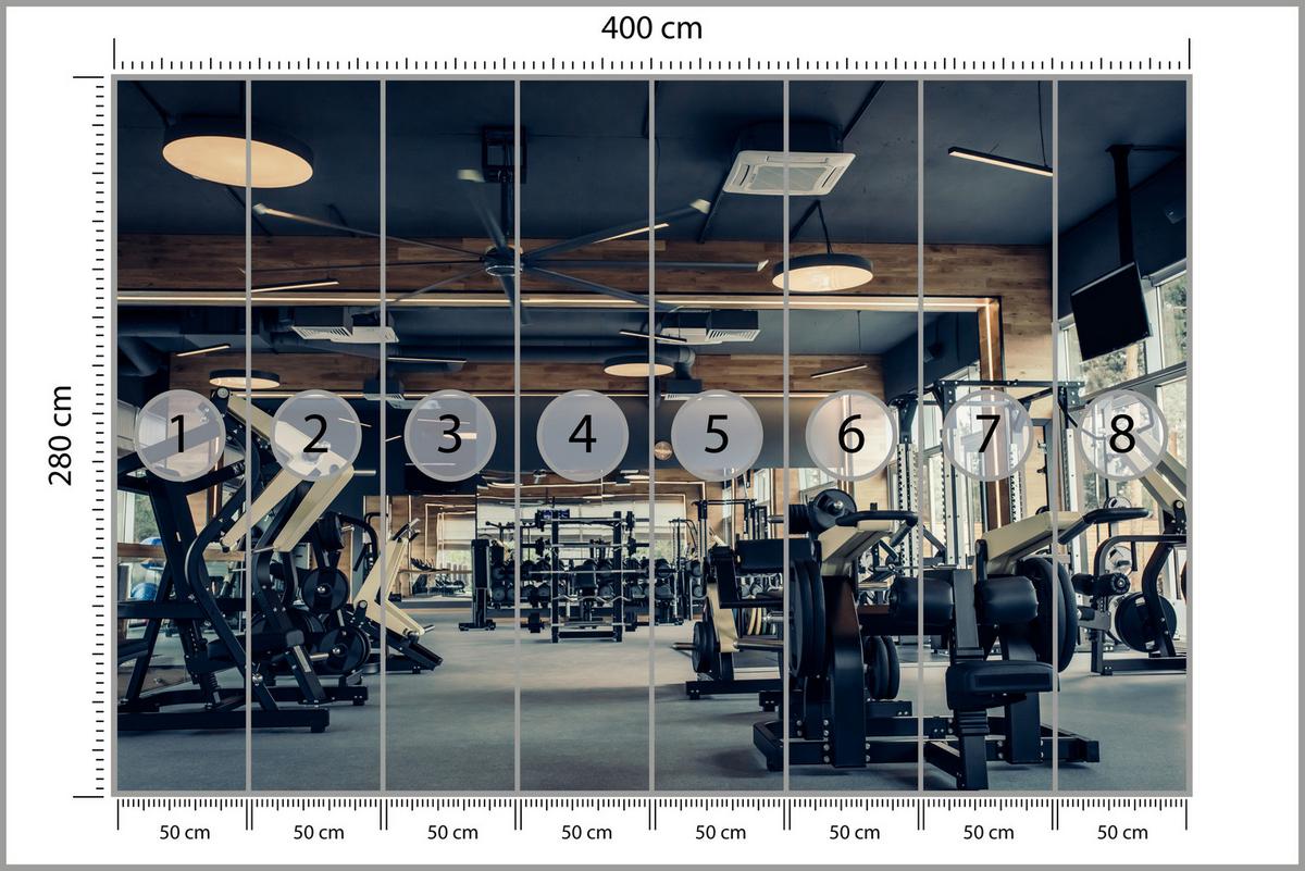 FOTOTAPETE Modernes Fitnessstudio Trainingsgeräte Sport 400x280 - Schwarz/Braun, Papier (400/280cm) - Muralo