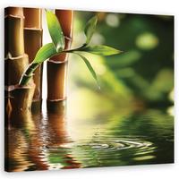 WANDBILD zen bambus - Grün, Textil (30/30cm) - Feeby