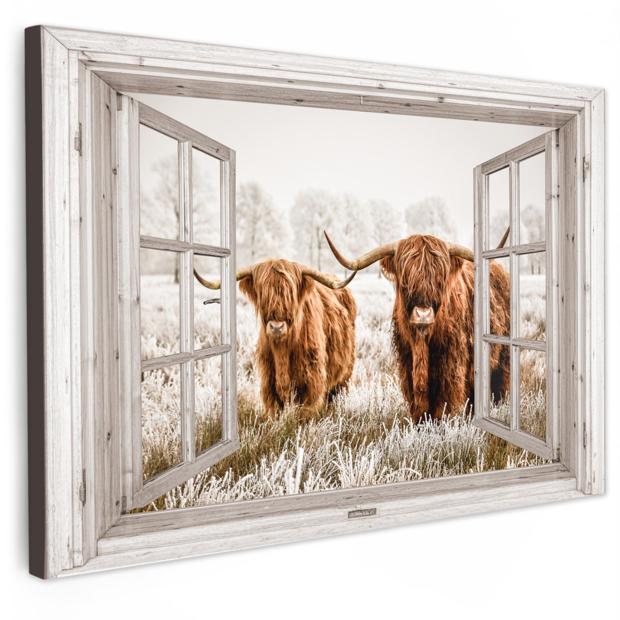 LEINWANDBILD Durchblick - Schottische Highlander - Tiere Wohnzimmer Groß 120x80 cm - Hellbraun, Textil (120/80cm) - MuchoWow